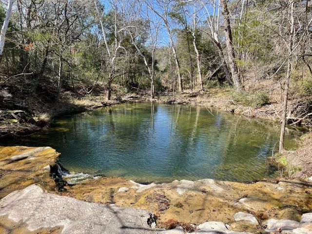 3618 State Highway 159, La Grange, TX 78945