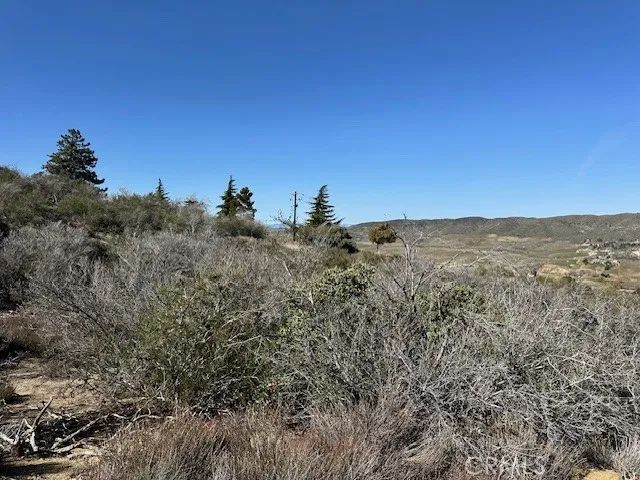 0 97th St W, Leona Valley, CA 93551