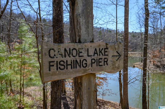 2080 LINDSAY LANE, Chelsea, AL 35043