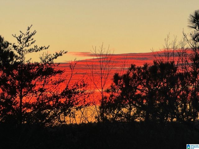 2080 LINDSAY LANE, Chelsea, AL 35043