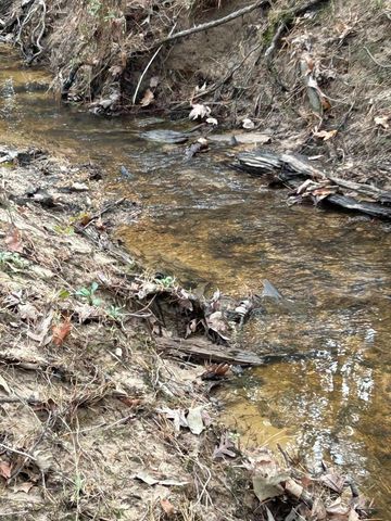 TRACT 1 Lloyd Walker Road, Huntington, TX 75949