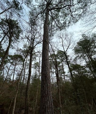 TRACT 1 Lloyd Walker Road, Huntington, TX 75949