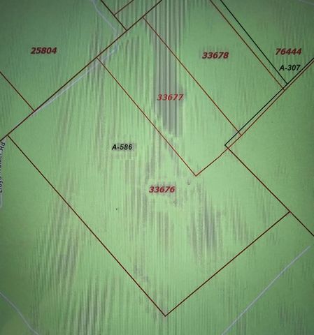 TRACT 1 Lloyd Walker Road, Huntington, TX 75949