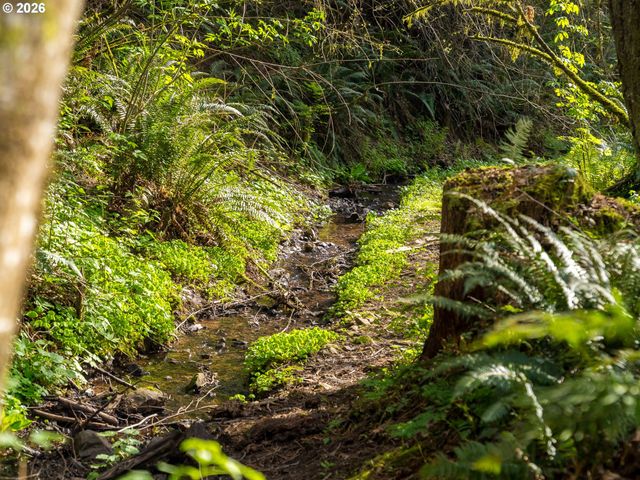 2683 GREEN MOUNTAIN Rd, Kalama, WA 98625