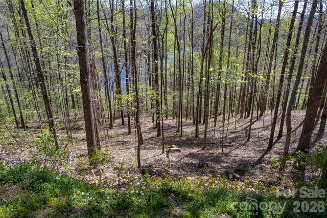 Lot 277 Pepperbush Lane 277, Tuckasegee, NC 28783