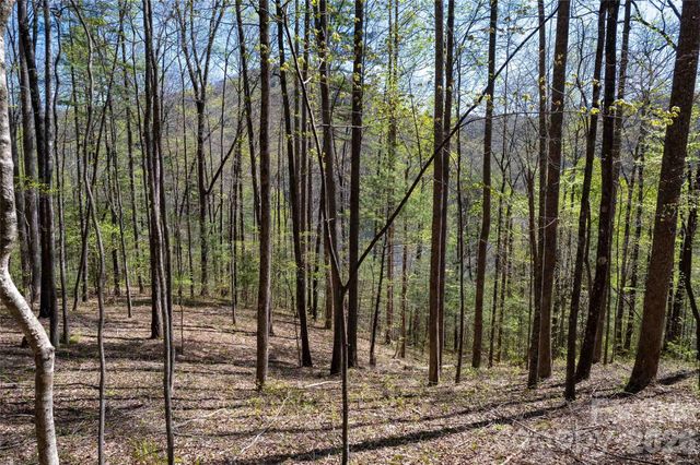 Lot 277 Pepperbush Lane 277, Tuckasegee, NC 28783