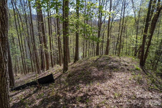 Lot 277 Pepperbush Lane 277, Tuckasegee, NC 28783