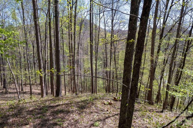 Lot 277 Pepperbush Lane 277, Tuckasegee, NC 28783