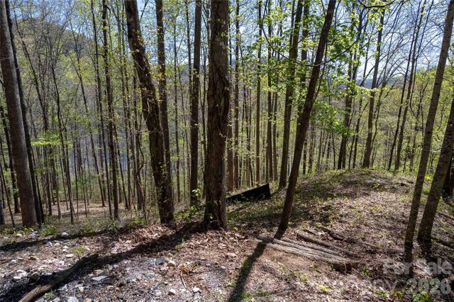 Lot 277 Pepperbush Lane 277, Tuckasegee, NC 28783