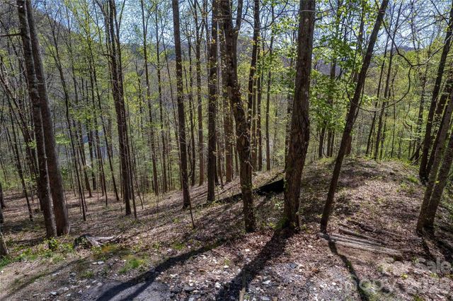Lot 277 Pepperbush Lane 277, Tuckasegee, NC 28783
