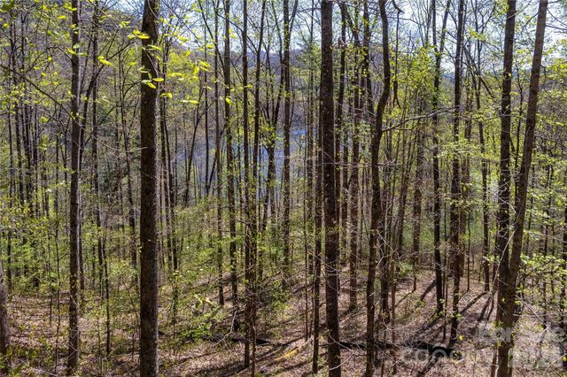 Lot 277 Pepperbush Lane 277, Tuckasegee, NC 28783