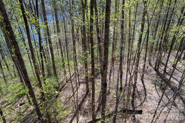 Lot 277 Pepperbush Lane 277, Tuckasegee, NC 28783