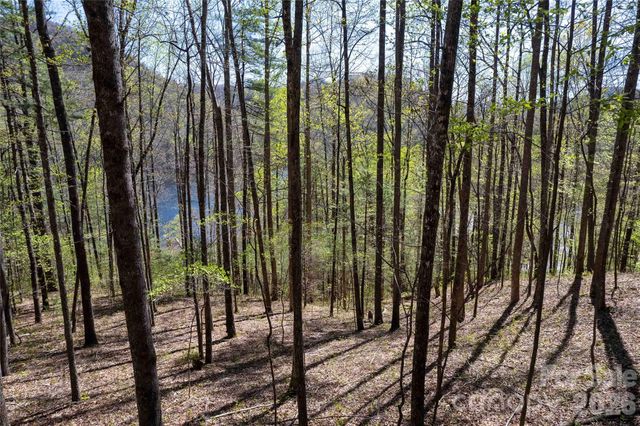Lot 277 Pepperbush Lane 277, Tuckasegee, NC 28783