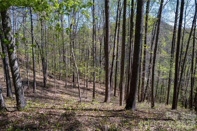 Lot 277 Pepperbush Lane 277, Tuckasegee, NC 28783