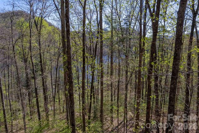 Lot 277 Pepperbush Lane 277, Tuckasegee, NC 28783