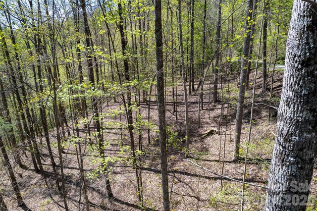 Lot 277 Pepperbush Lane 277, Tuckasegee, NC 28783
