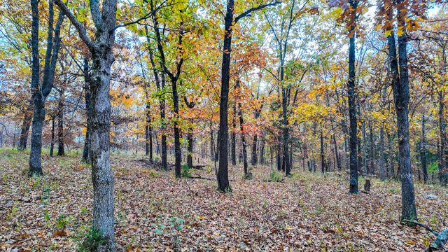 19832 County Road 64, Wheatland, MO 65779