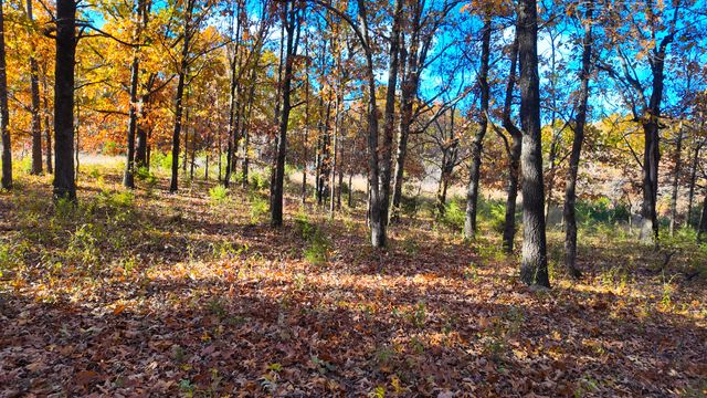 19832 County Road 64, Wheatland, MO 65779