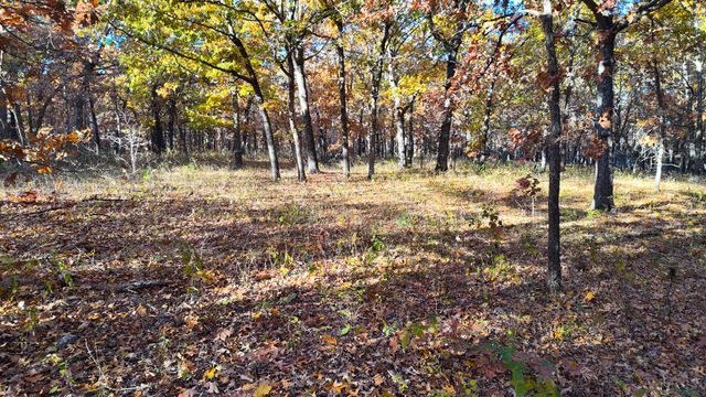 19832 County Road 64, Wheatland, MO 65779