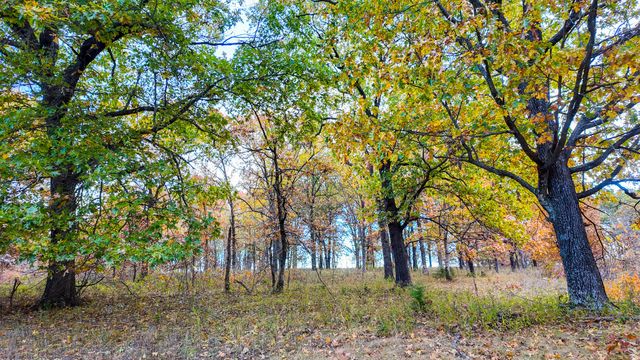 19832 County Road 64, Wheatland, MO 65779