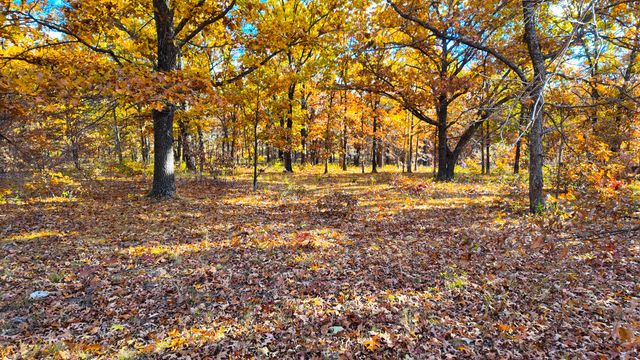 19832 County Road 64, Wheatland, MO 65779