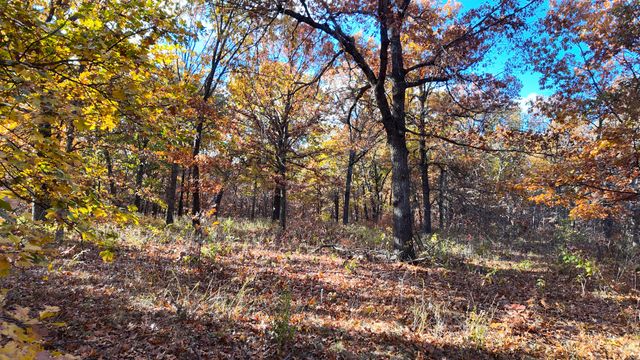 19832 County Road 64, Wheatland, MO 65779