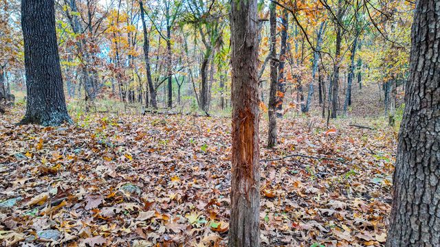 19832 County Road 64, Wheatland, MO 65779