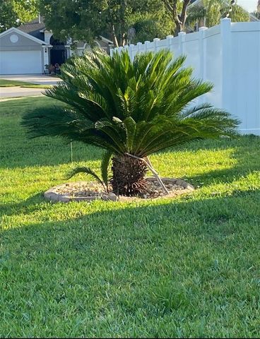 15746 BAY VISTA DRIVE, Clermont, FL 34714