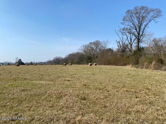 Highway 103, Washington, LA 70589