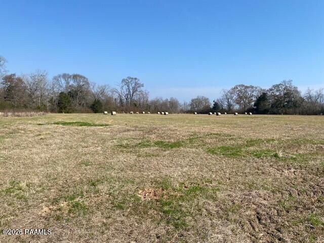 Highway 103, Washington, LA 70589