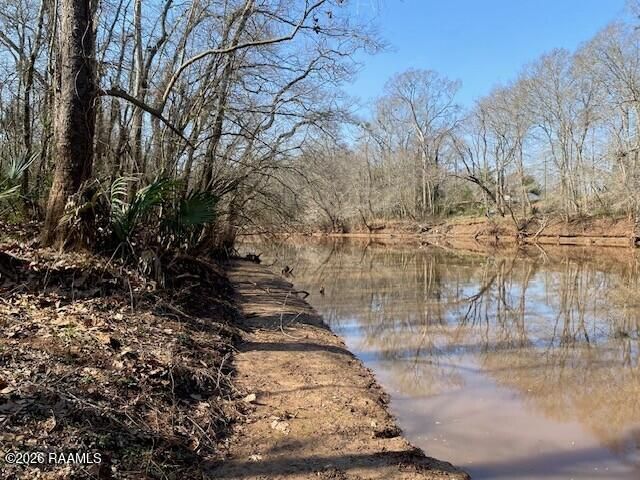 Highway 103, Washington, LA 70589