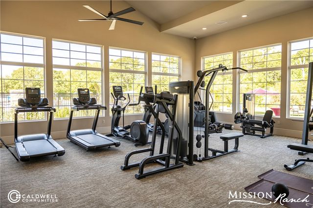 3561 Anderson Arbor Court, College Station, TX 77845
