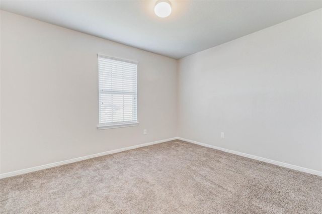 9503 Wedgewood Colony Court, Richmond, TX 77407