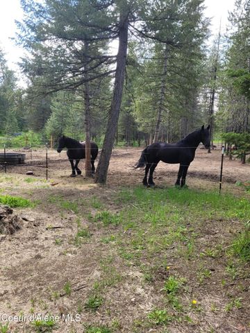 24601 N NIKKOMA RD, Rathdrum, ID 83858