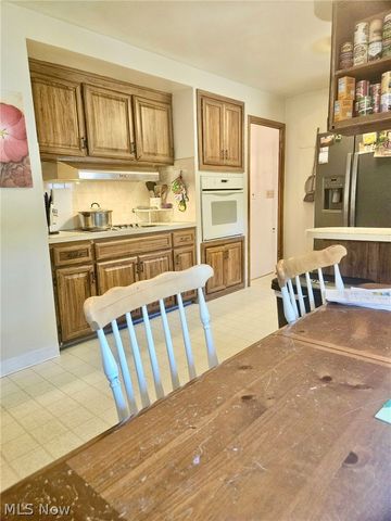 10481 Briar Hill Drive, Kirtland, OH 44094