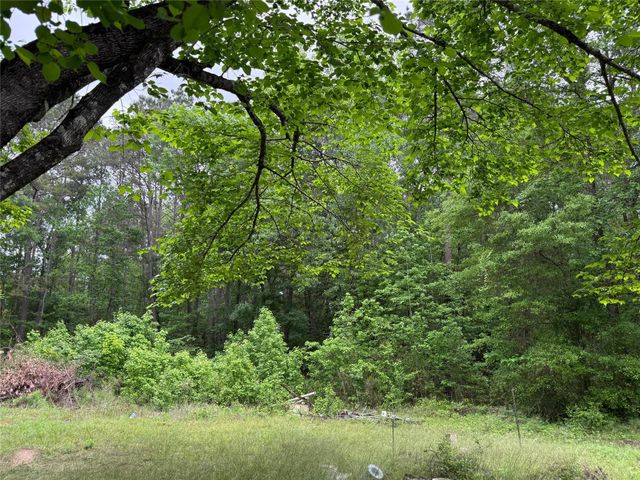 12144 Fm 1484 Road, Conroe, TX 77303