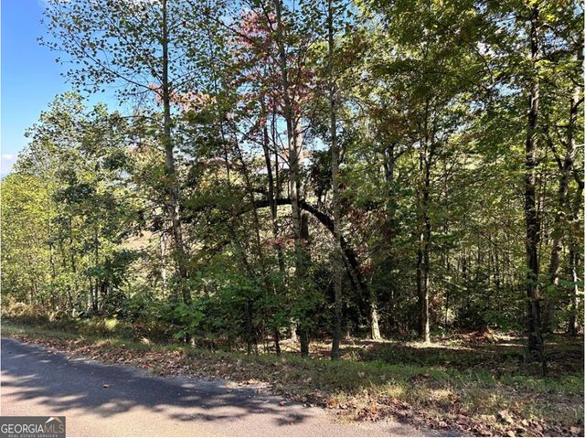 LOT 3 Ruby Ridge, Young Harris, GA 30582