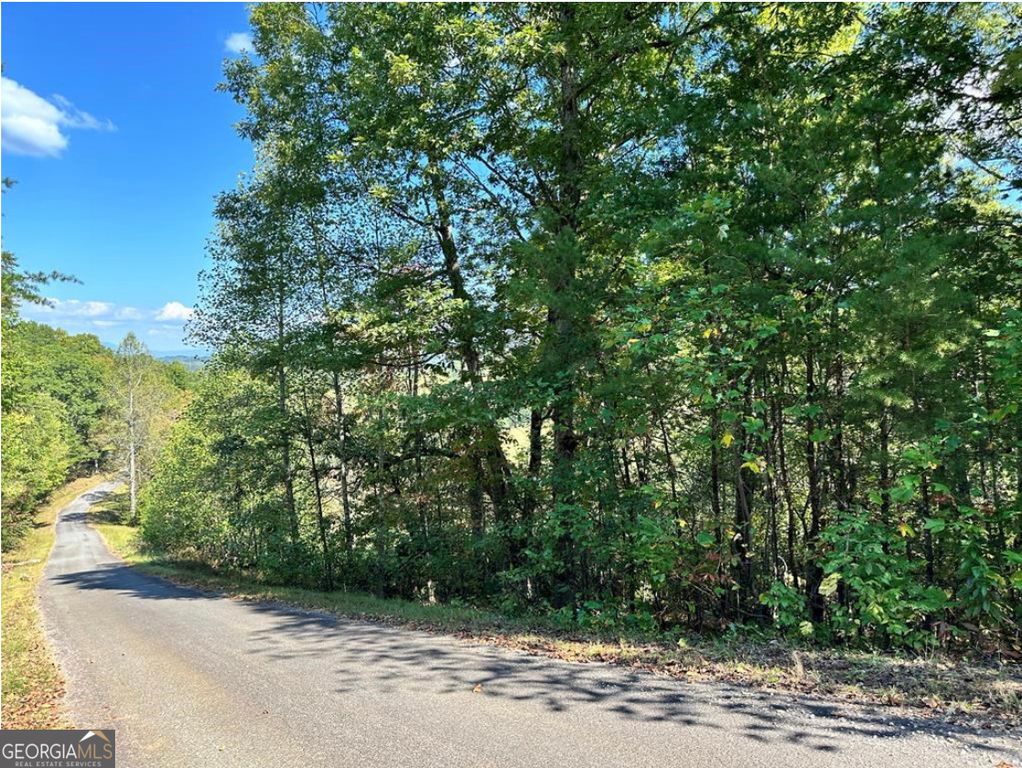LOT 3 Ruby Ridge, Young Harris, GA 30582