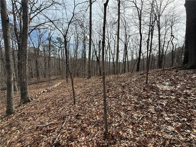 Tract 3 Cardinal Ridge Road, Eureka Springs, AR 72632