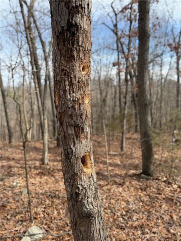 Tract 3 Cardinal Ridge Road, Eureka Springs, AR 72632