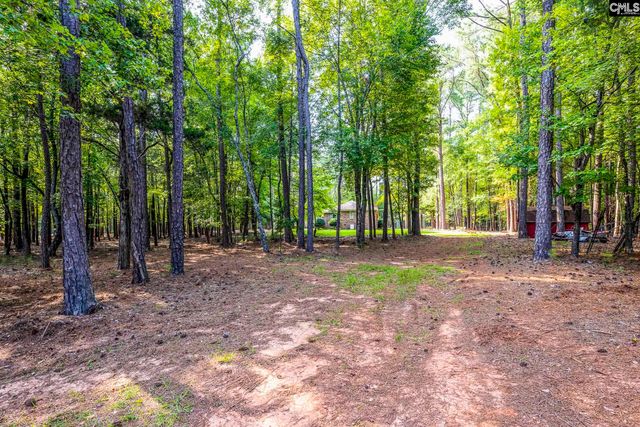 121 Deer Tract Drive, Little Mountain, SC 29075