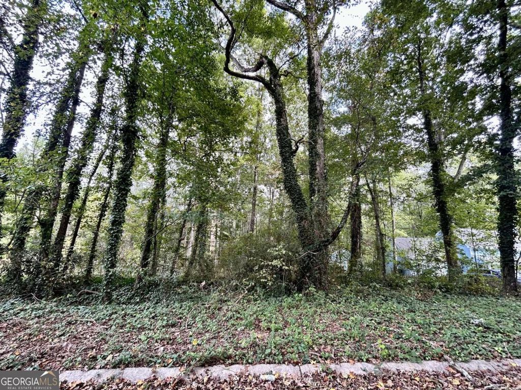 3291 Chesterfield Court, Snellville, GA 30039