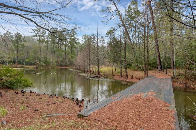 80 Nettie Phillips Road, Coldspring, TX 77331