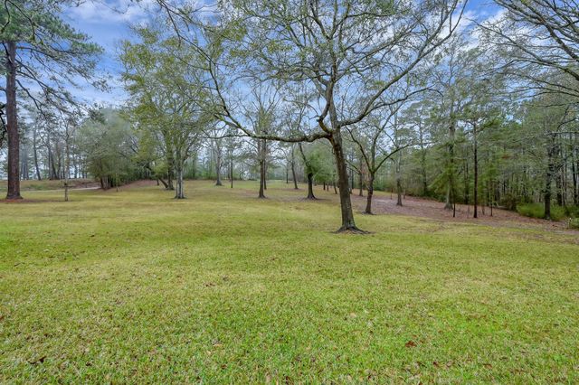 80 Nettie Phillips Road, Coldspring, TX 77331
