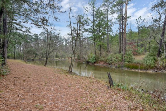 80 Nettie Phillips Road, Coldspring, TX 77331