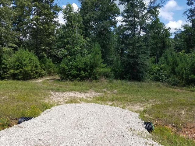 21275 Big Buck Drive, Cleveland, TX 77328