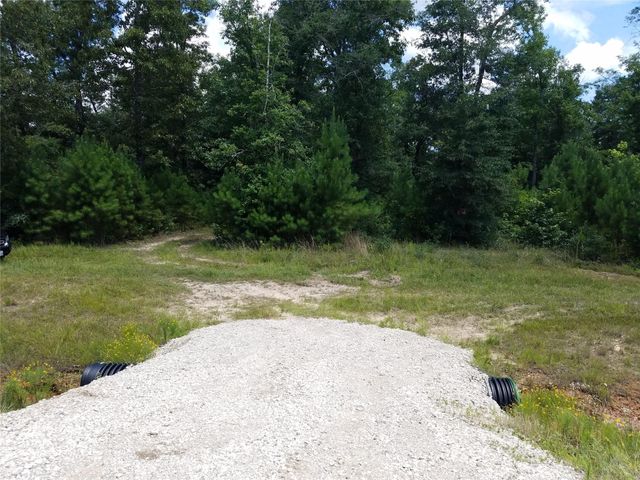 21275 Big Buck Drive, Cleveland, TX 77328