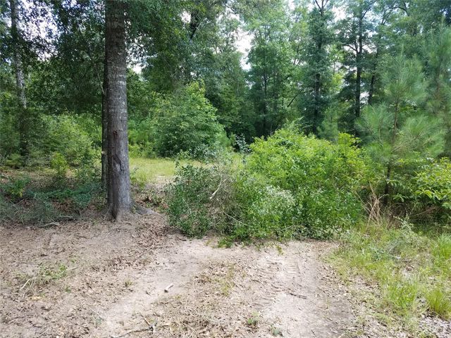 21275 Big Buck Drive, Cleveland, TX 77328