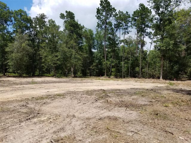 21275 Big Buck Drive, Cleveland, TX 77328