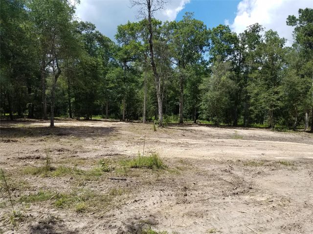 21275 Big Buck Drive, Cleveland, TX 77328